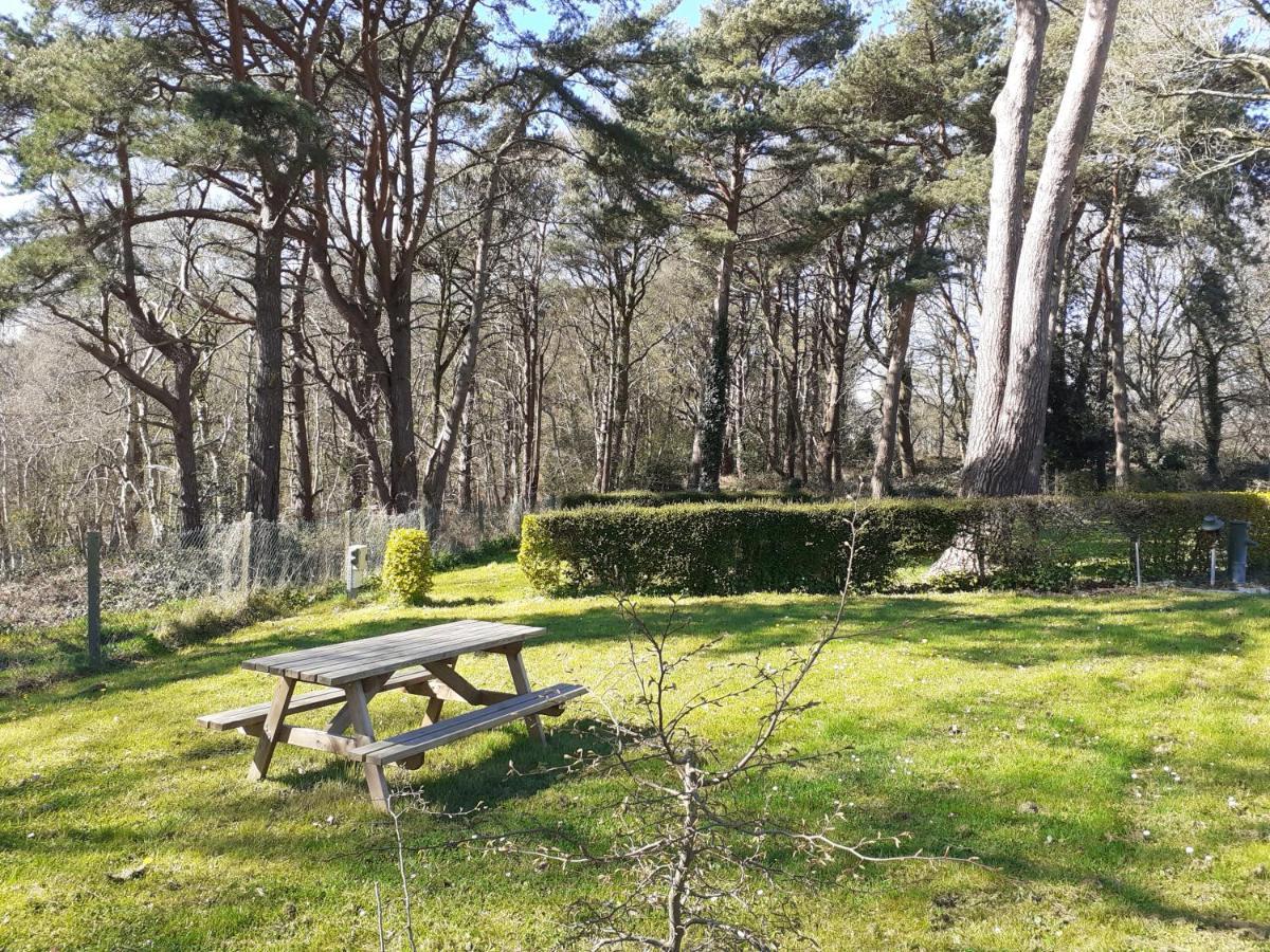 Camping Les Falaises De Toussaint Екстериор снимка