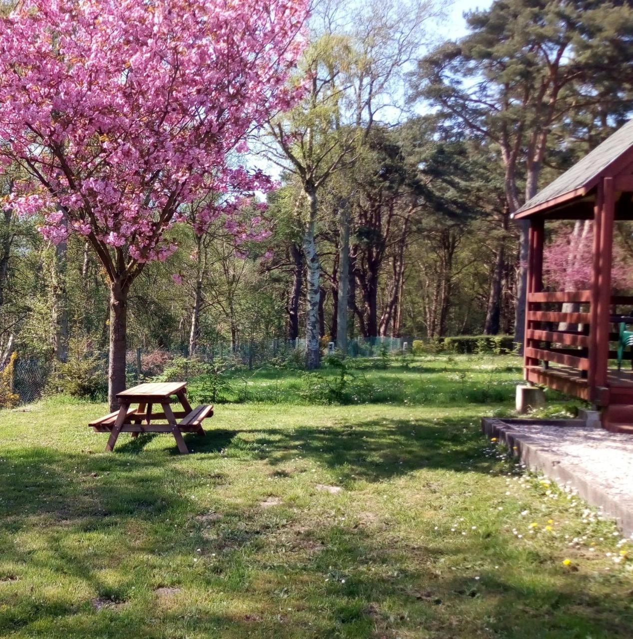 Camping Les Falaises De Toussaint Екстериор снимка